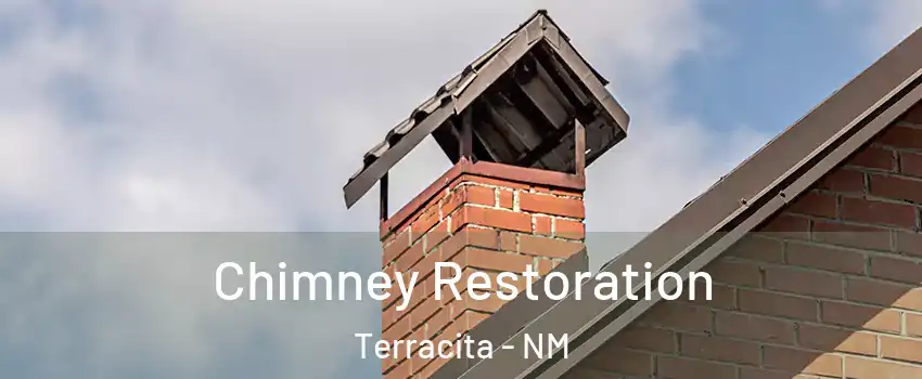 Chimney Restoration Terracita - NM