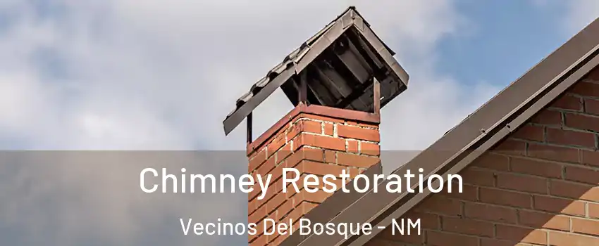 Chimney Restoration Vecinos Del Bosque - NM