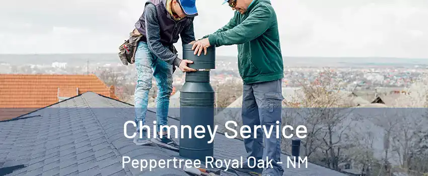 Chimney Service Peppertree Royal Oak - NM