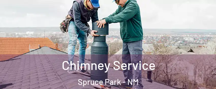 Chimney Service Spruce Park - NM