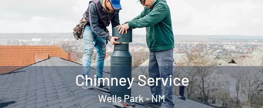 Chimney Service Wells Park - NM