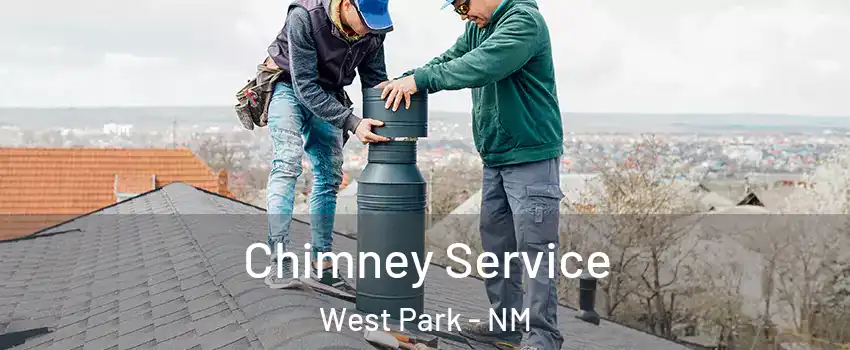 Chimney Service West Park - NM