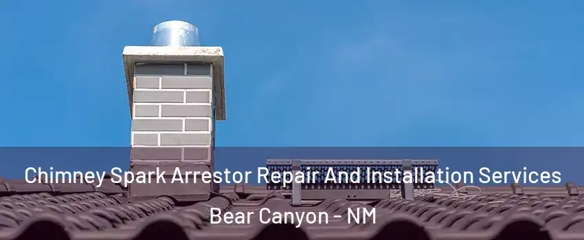 Chimney Spark Arrestor Repair And Installation Services Bear Canyon - NM