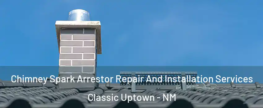 Chimney Spark Arrestor Repair And Installation Services Classic Uptown - NM