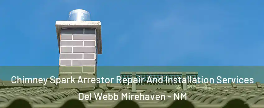 Chimney Spark Arrestor Repair And Installation Services Del Webb Mirehaven - NM