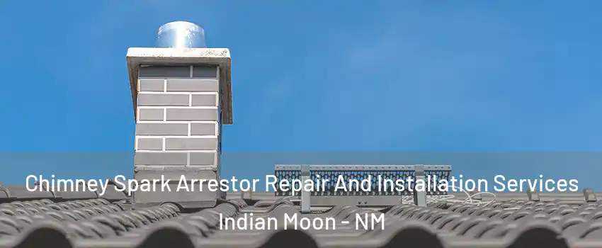 Chimney Spark Arrestor Repair And Installation Services Indian Moon - NM