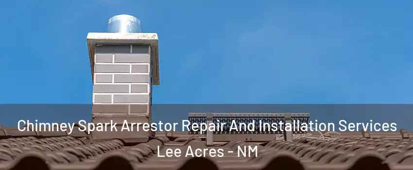 Chimney Spark Arrestor Repair And Installation Services Lee Acres - NM