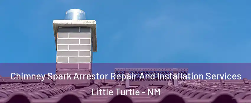 Chimney Spark Arrestor Repair And Installation Services Little Turtle - NM