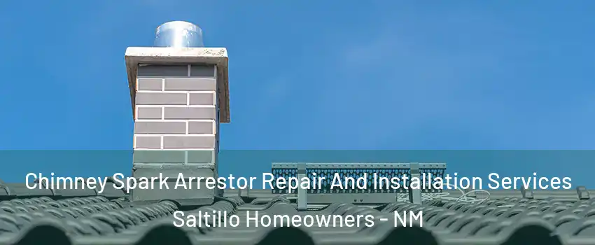 Chimney Spark Arrestor Repair And Installation Services Saltillo Homeowners - NM