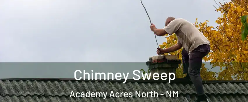 Chimney Sweep Academy Acres North - NM