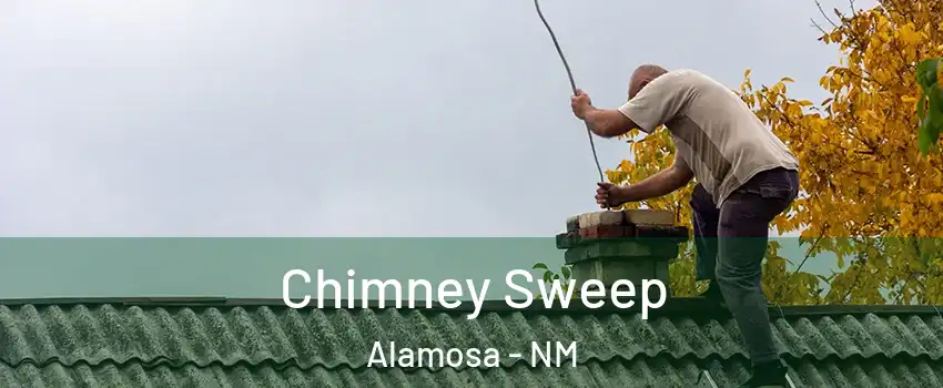 Chimney Sweep Alamosa - NM