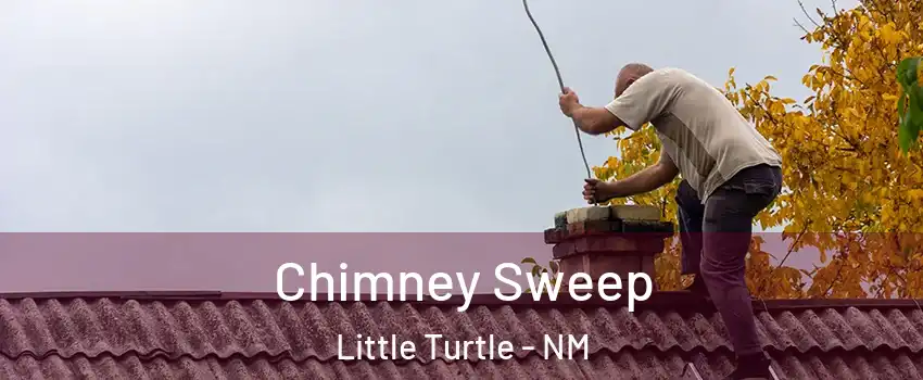 Chimney Sweep Little Turtle - NM