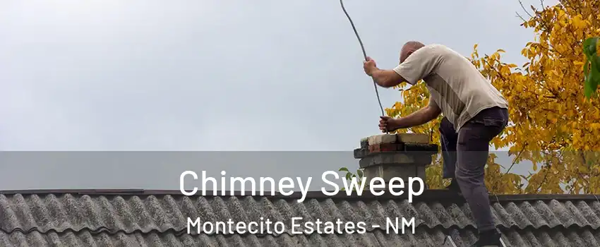 Chimney Sweep Montecito Estates - NM