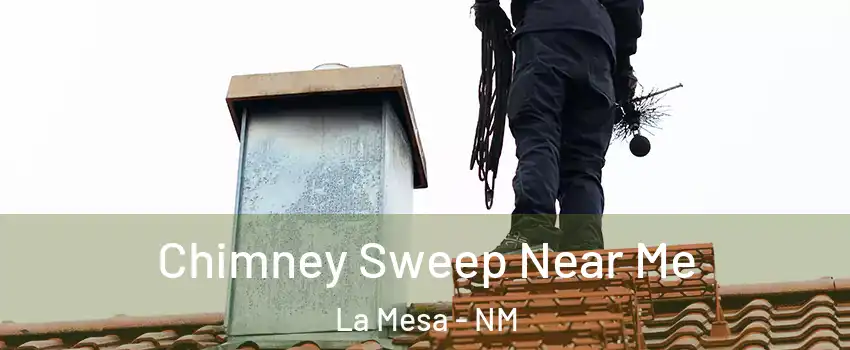 Chimney Sweep Near Me La Mesa - NM