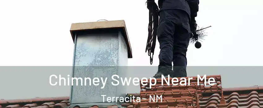 Chimney Sweep Near Me Terracita - NM