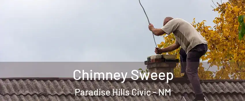 Chimney Sweep Paradise Hills Civic - NM