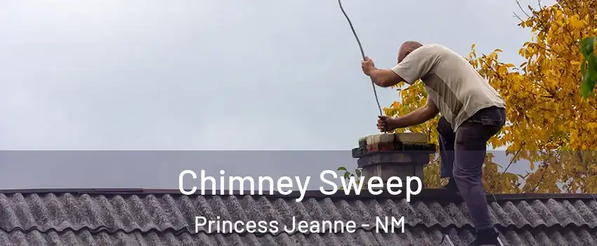 Chimney Sweep Princess Jeanne - NM