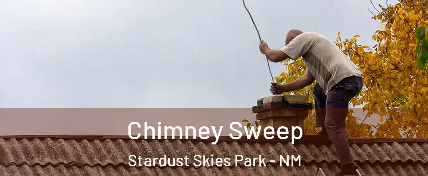 Chimney Sweep Stardust Skies Park - NM