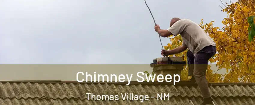 Chimney Sweep Thomas Village - NM