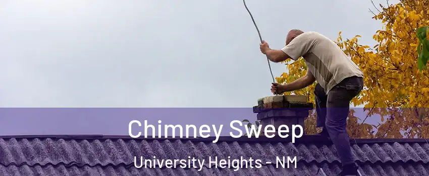 Chimney Sweep University Heights - NM