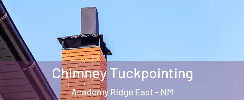 Chimney Tuckpointing Academy Ridge East - NM