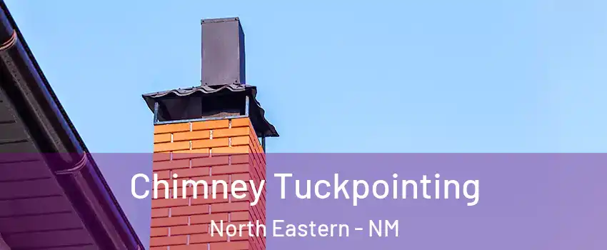 Chimney Tuckpointing North Eastern - NM