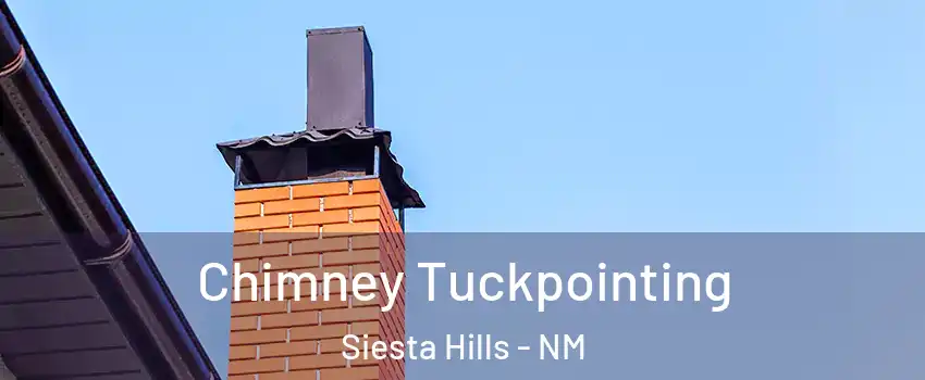 Chimney Tuckpointing Siesta Hills - NM