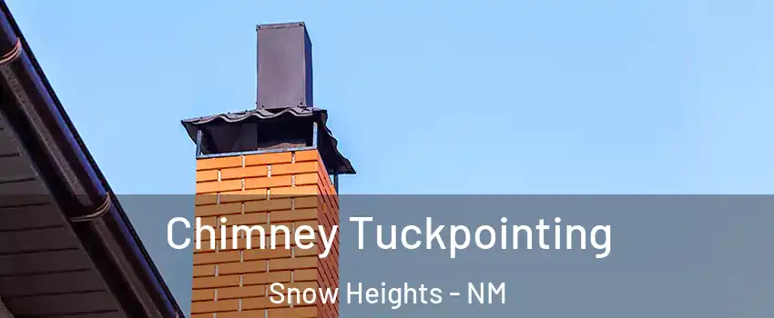 Chimney Tuckpointing Snow Heights - NM