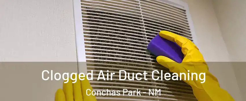 Clogged Air Duct Cleaning Conchas Park - NM