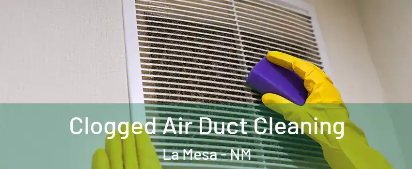 Clogged Air Duct Cleaning La Mesa - NM