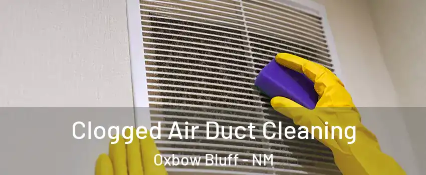 Clogged Air Duct Cleaning Oxbow Bluff - NM