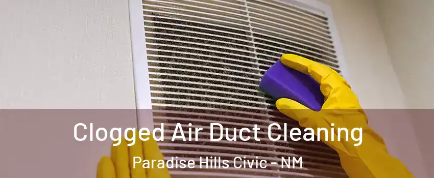 Clogged Air Duct Cleaning Paradise Hills Civic - NM