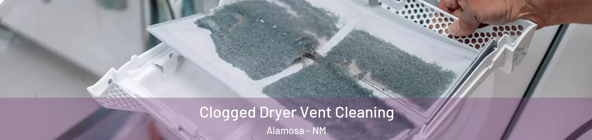 Clogged Dryer Vent Cleaning Alamosa - NM