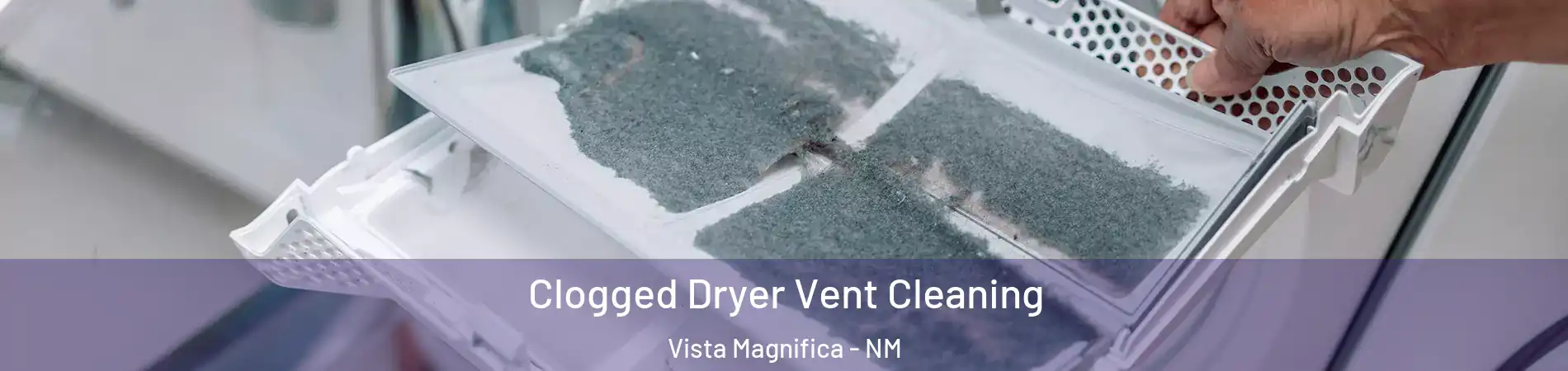 Clogged Dryer Vent Cleaning Vista Magnifica - NM