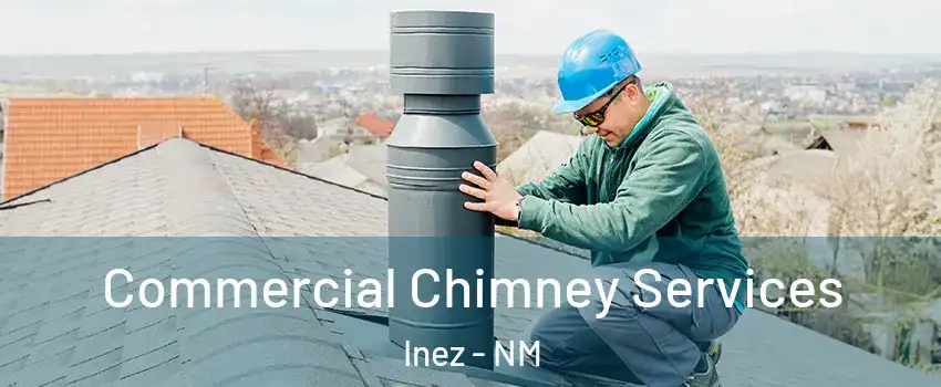 Commercial Chimney Services Inez - NM