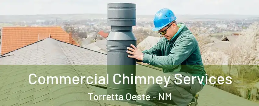 Commercial Chimney Services Torretta Oeste - NM