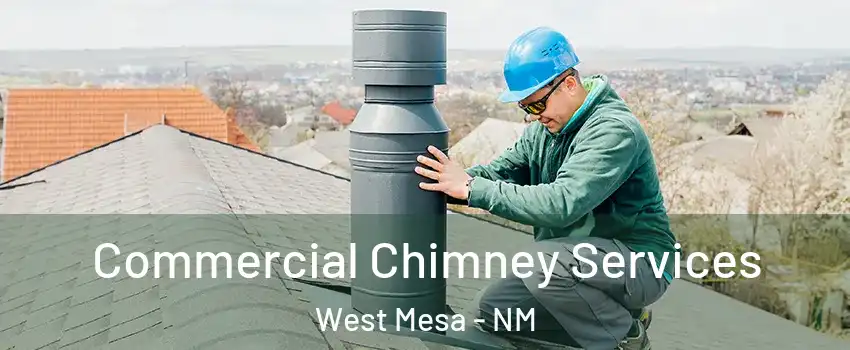 Commercial Chimney Services West Mesa - NM