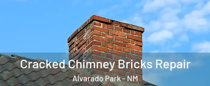 Cracked Chimney Bricks Repair Alvarado Park - NM