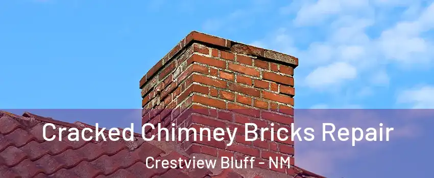 Cracked Chimney Bricks Repair Crestview Bluff - NM