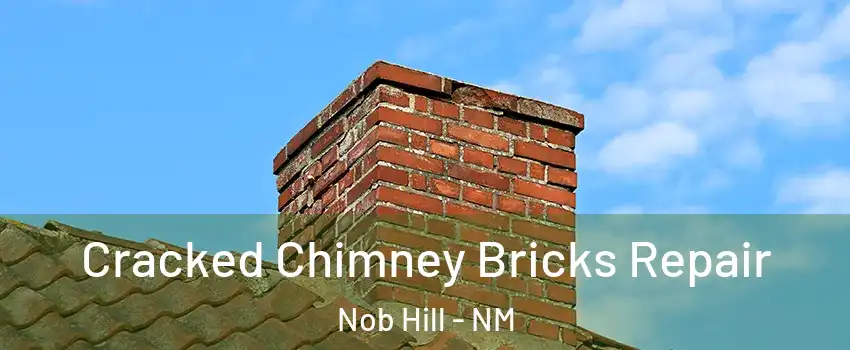 Cracked Chimney Bricks Repair Nob Hill - NM