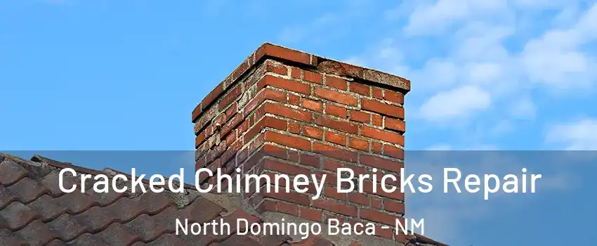 Cracked Chimney Bricks Repair North Domingo Baca - NM