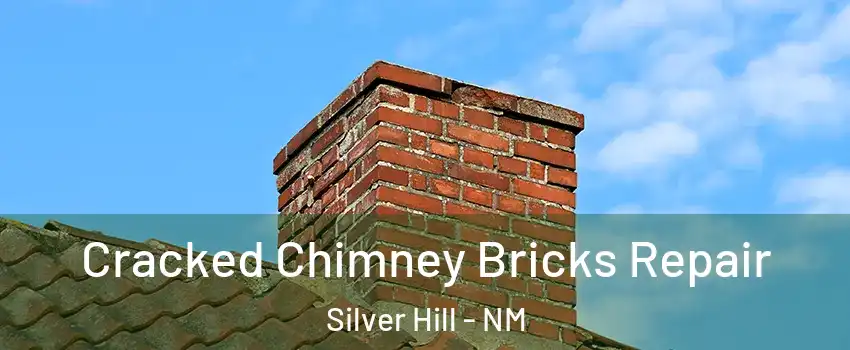 Cracked Chimney Bricks Repair Silver Hill - NM