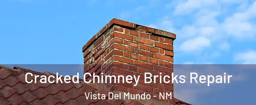 Cracked Chimney Bricks Repair Vista Del Mundo - NM