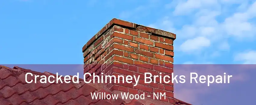 Cracked Chimney Bricks Repair Willow Wood - NM