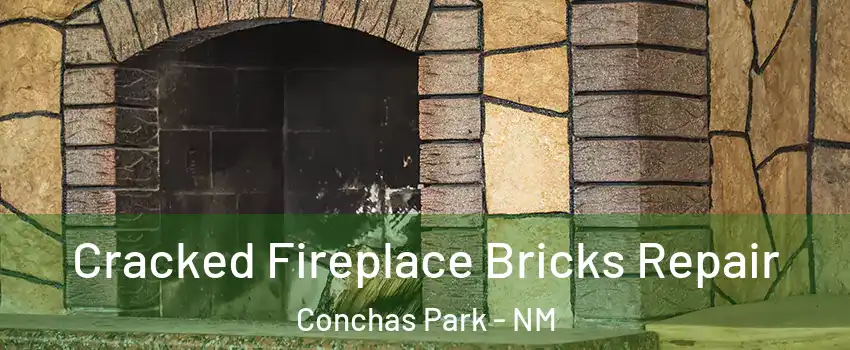 Cracked Fireplace Bricks Repair Conchas Park - NM