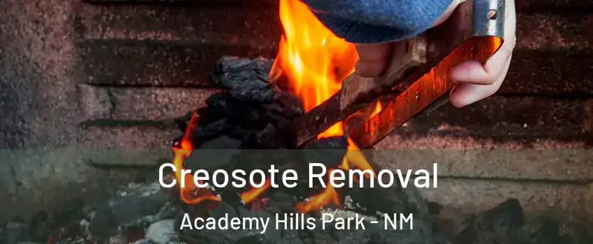 Creosote Removal Academy Hills Park - NM