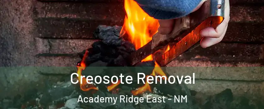 Creosote Removal Academy Ridge East - NM