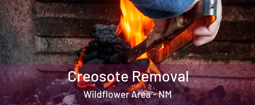 Creosote Removal Wildflower Area - NM