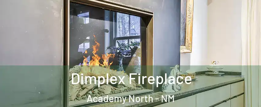 Dimplex Fireplace Academy North - NM