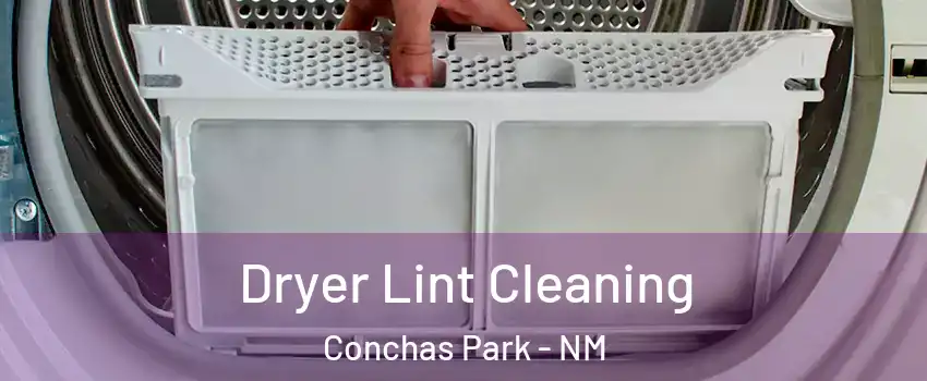 Dryer Lint Cleaning Conchas Park - NM